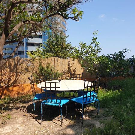 Villa Angelina 博索莱伊 外观 照片