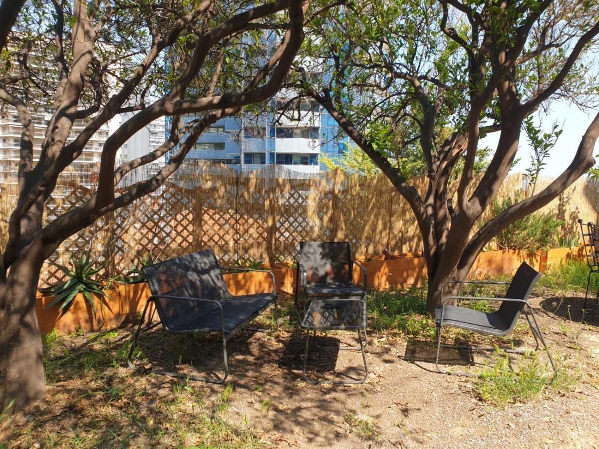 Villa Angelina 博索莱伊 外观 照片