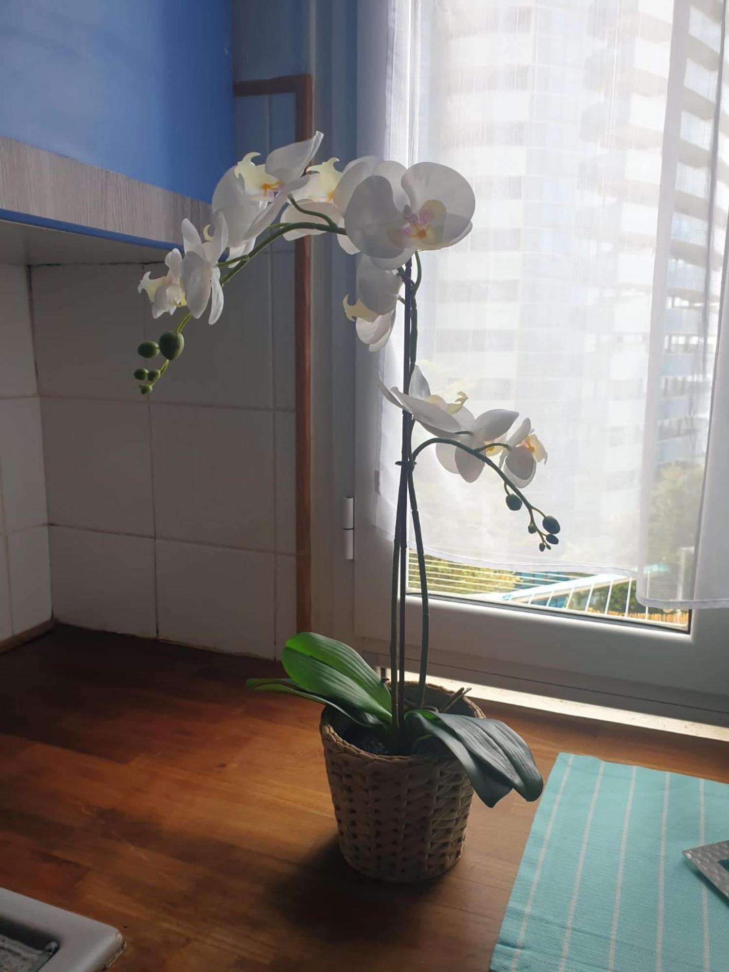 Villa Angelina 博索莱伊 外观 照片